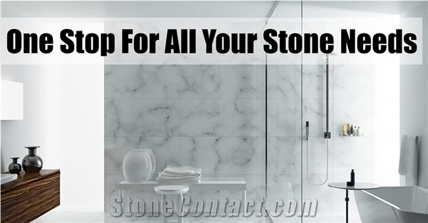 Evolution Stone