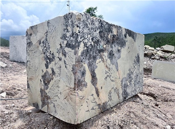 BRAZILIAN NATURAL STONE LTDA