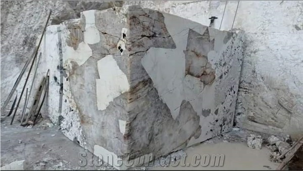 BRAZILIAN NATURAL STONE LTDA
