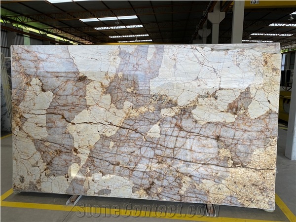 BRAZILIAN NATURAL STONE LTDA