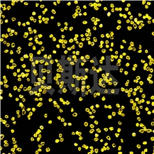 Zhengzhou Best Synthetic Diamond Co., Ltd