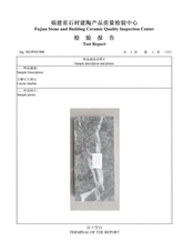 Test Report