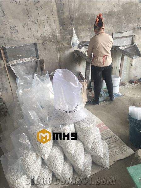 VIETNAM MHS IMPORT-EXPORT JOINT STOCK COMPANY