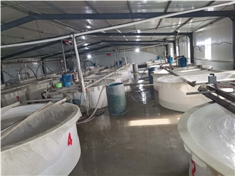 Zhengzhou Xinli Wear-resistant Materials Co. Ltd.