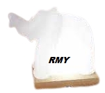 RMY INTERNATIONAL