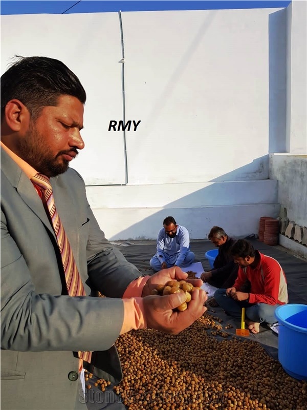 RMY International