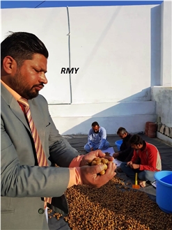 RMY International