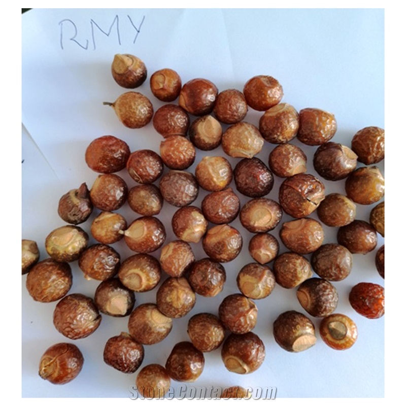 RMY International
