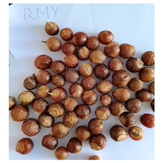 RMY International