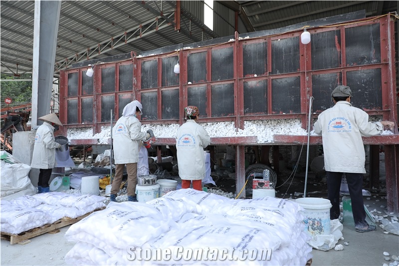 VIET NAM TECHNOLOGY MINERAL JOINT STOCK COMPANY