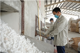 VIET NAM TECHNOLOGY MINERAL JOINT STOCK COMPANY