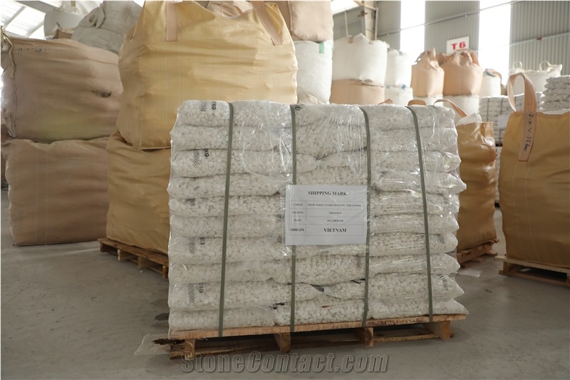 VIET NAM TECHNOLOGY MINERAL JOINT STOCK COMPANY