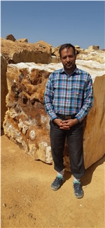 Meghdad Shafiei