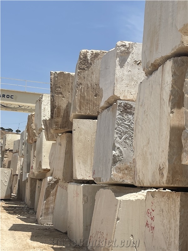 MetaStone