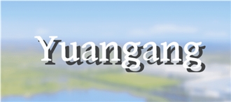 Shandong Puxiang Abrasives Co., Ltd.