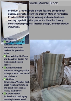 Sepandar Vandad Company