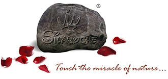 Shree Nakoda Tiles Pvt. Ltd. Shree Nakoda Tiles Pvt. Ltd.