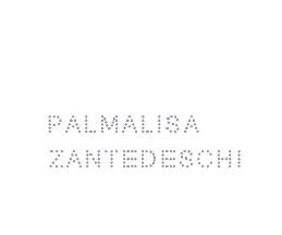 Palmalisa Zantedeschi s.r.l.