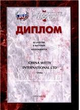 Certificate of participation in "Expostone-2009"