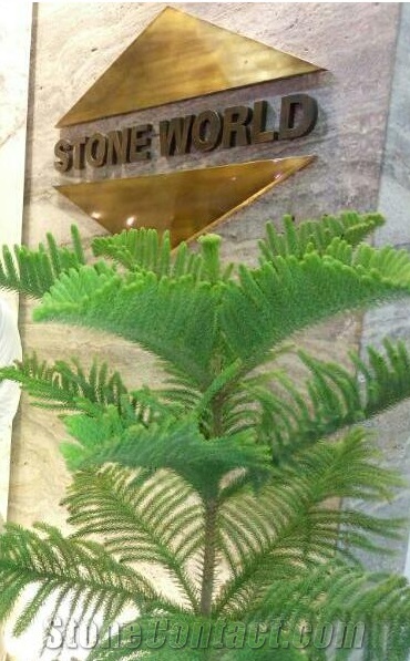 Stone World