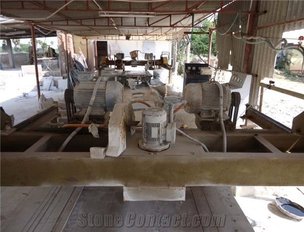 ELANZA Export Private Ltd.