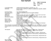 test report 