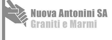 Nuova Antonini SA Nuova Antonini SA
