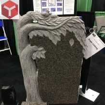 Coverings 2017