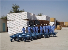 Al Turki Enterprises LLC