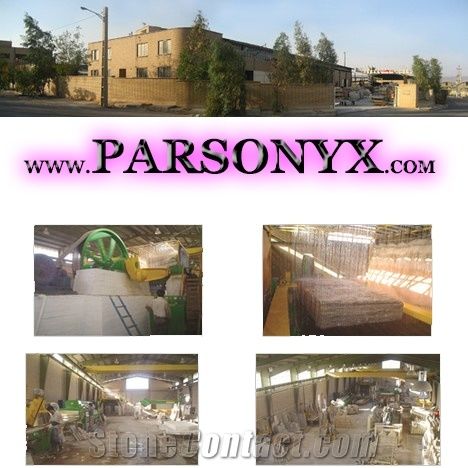 Parsonyx