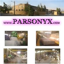 Parsonyx