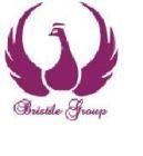 BRISTILE OVERSEAS PVT LTD