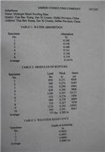Black Slate Test Report-2