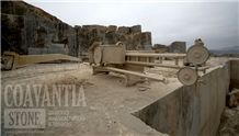 Coavantia Stone