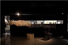 MARMOMAC 2013