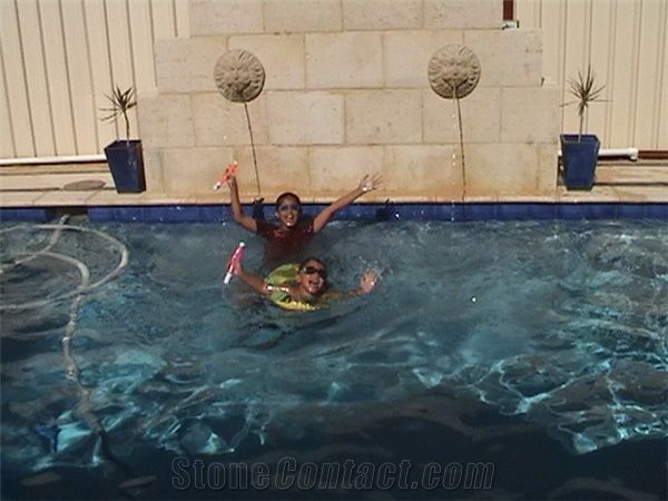 Professional Pool Finishes