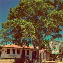 MHB - Mineracao Brasileira LTDA