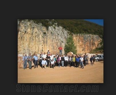 Grupo Vitoria Stone Industria e Comercio S/A