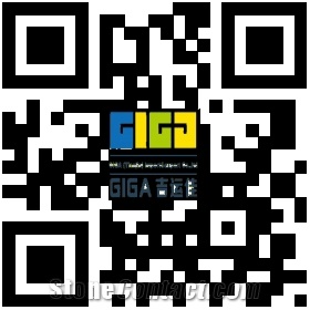 GIGA (Tianjin) Import &Export Co., Ltd