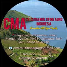 Hary Budiyono