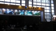 XIAMEN STONE FAIR 2014