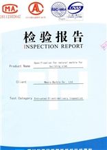 Inspection Report