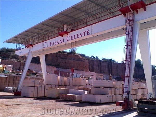 FASANI CELESTE S.r.l.