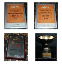 Global Top 10 Netpreneur Champion 