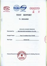 TEST REPORT