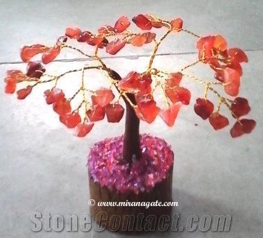 Miran Agate