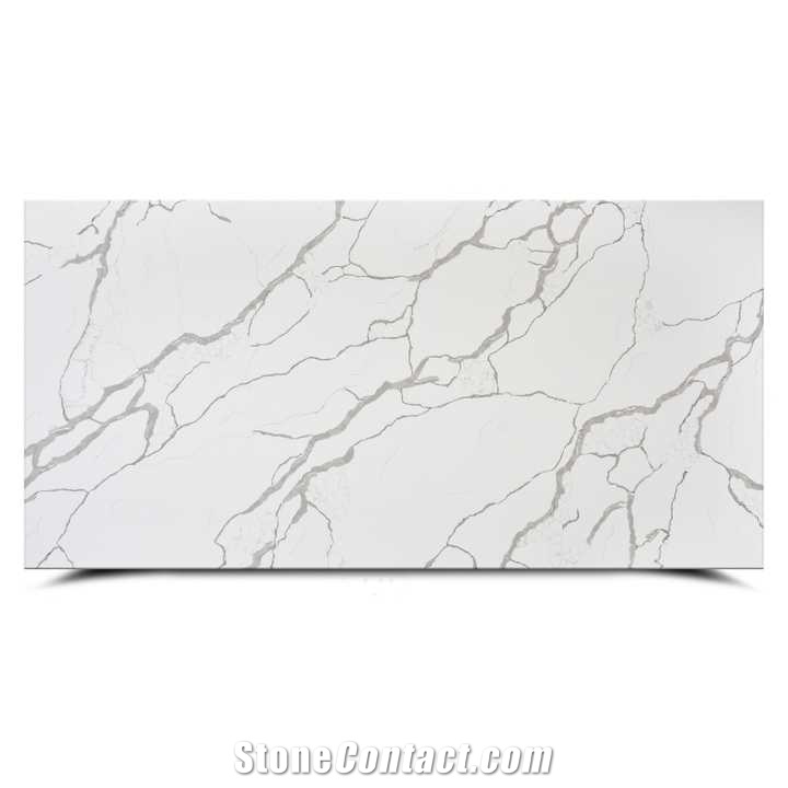 Calacatta White Quartzite Slabs