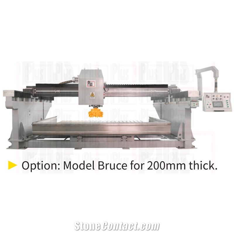 Single Head Bridge Polishing Machine - Bruce ECO