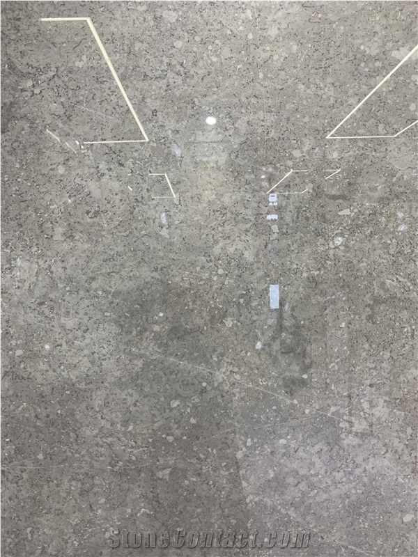 Silver Fox Marble Slabs & Tiles