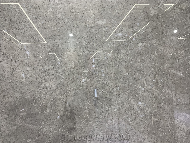 Silver Fox Marble Slabs & Tiles